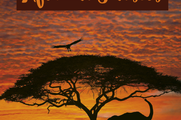 African Animals – How to Make an African Silhouette Sunset Picture