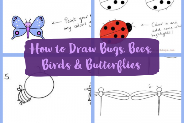 How to Draw Lovely Bugs, Bees, Birds and Butterflies