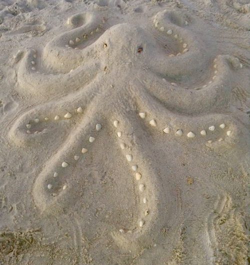 Sand Octopus