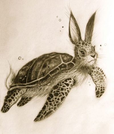 Turtle Rabbit