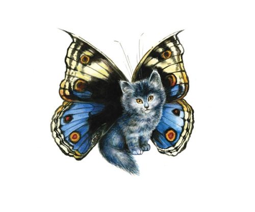 butterfly cat - Séverine PINEAUX