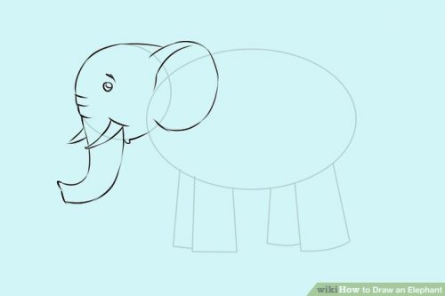 how to draw an elephant